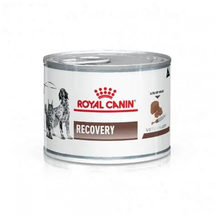 Royal Canin Recovery 190g