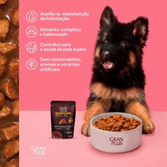 Sachê Gran Plus Gourmet - Cães Adultos - Carne