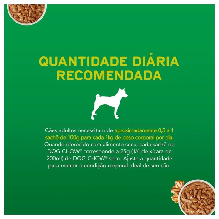 Sachê Dog Chow - Cães Adultos, Minis e Pequenos - Carne