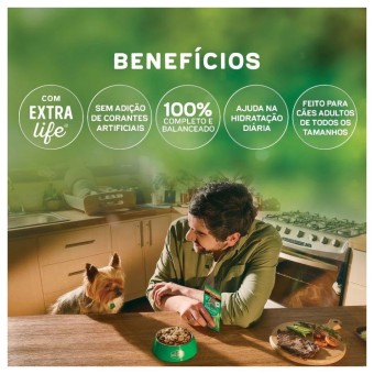 Sachê Dog Chow Nutrição Reforçada - Cães Adultos, todos os tamanhos - Frango em Filetes com Arroz
