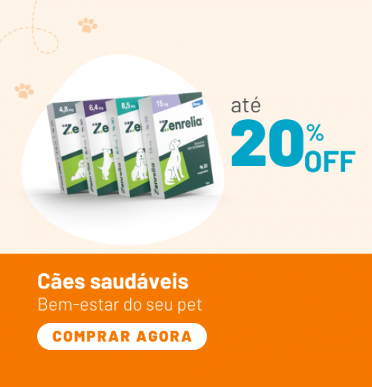 Cães saudáveis