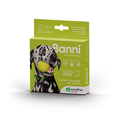 De 20,1 Kg até 40 Kg